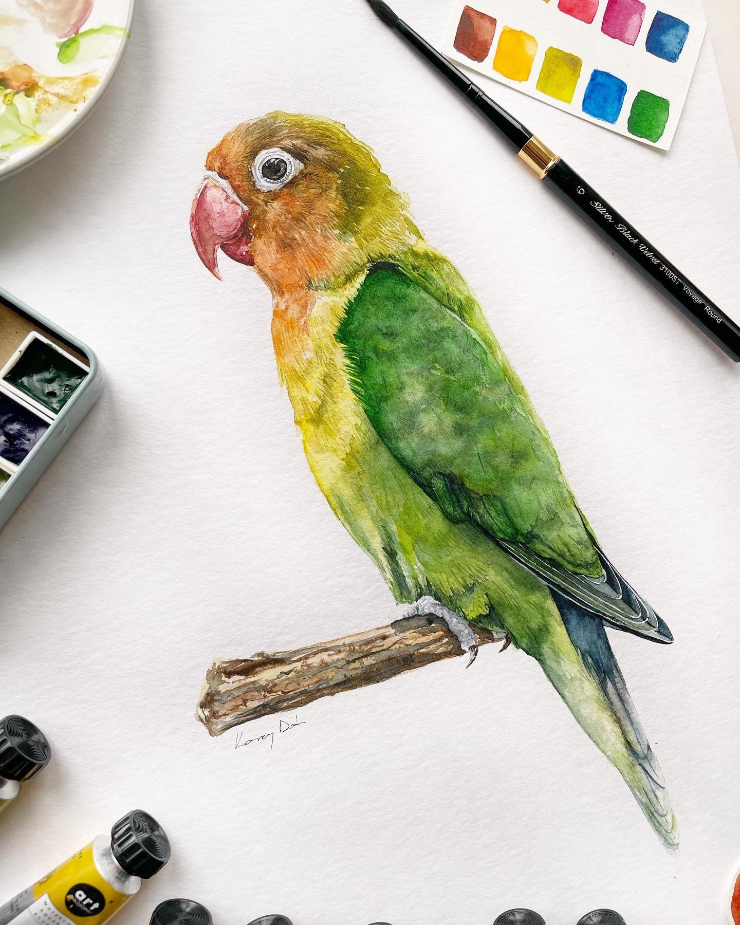 Rózsásfejű papagáj