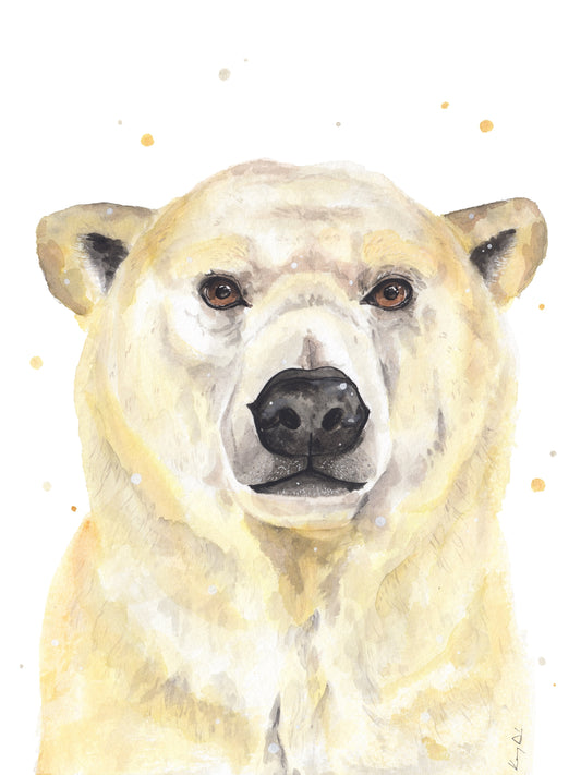 Jegesmedve Portré // Polar Bear Portrait