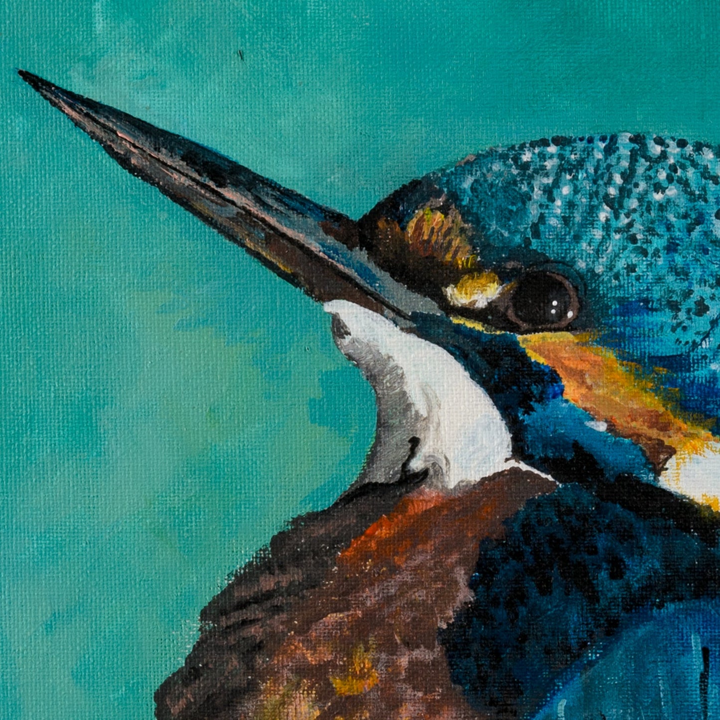 Jégmadár // Kingfisher