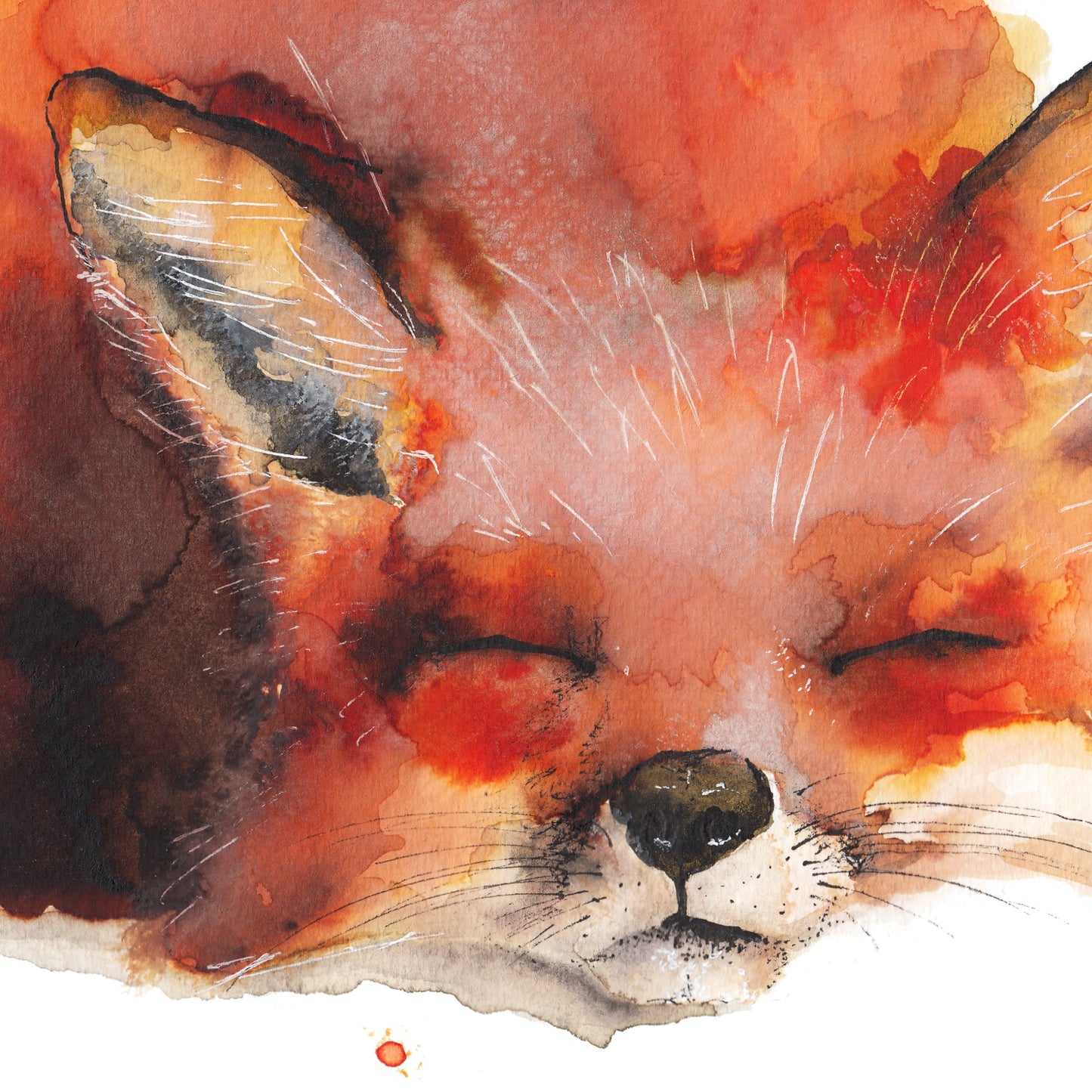 Sleeping Fox