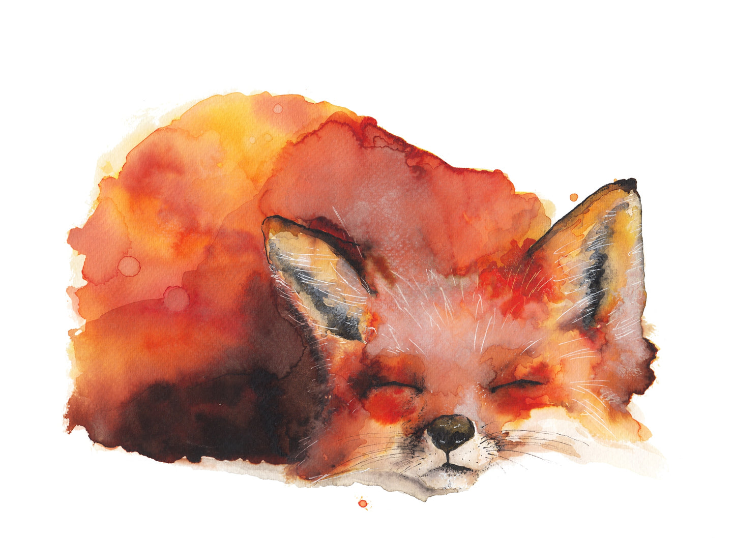Sleeping Fox