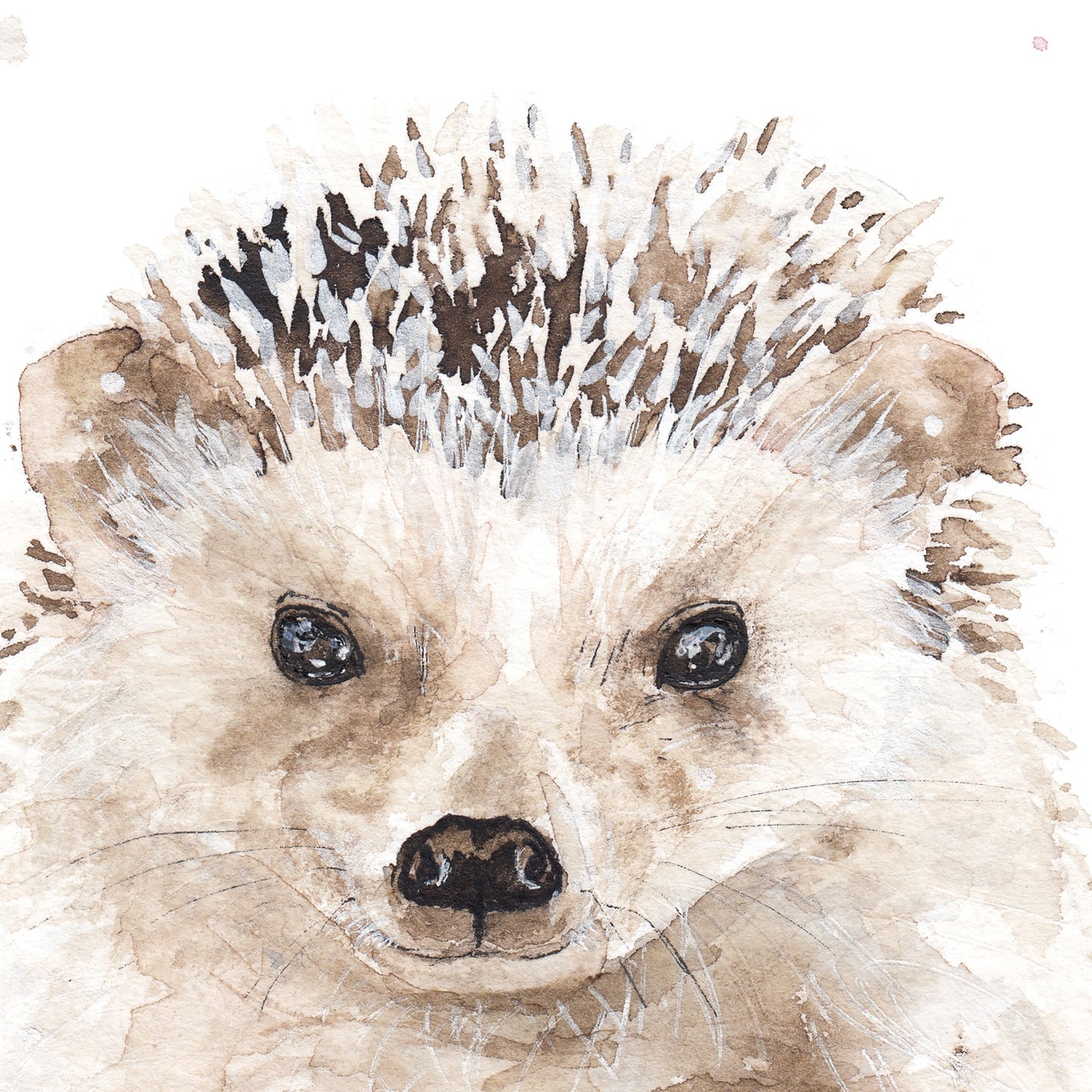 Süni Portré // Hedgehog Portrait