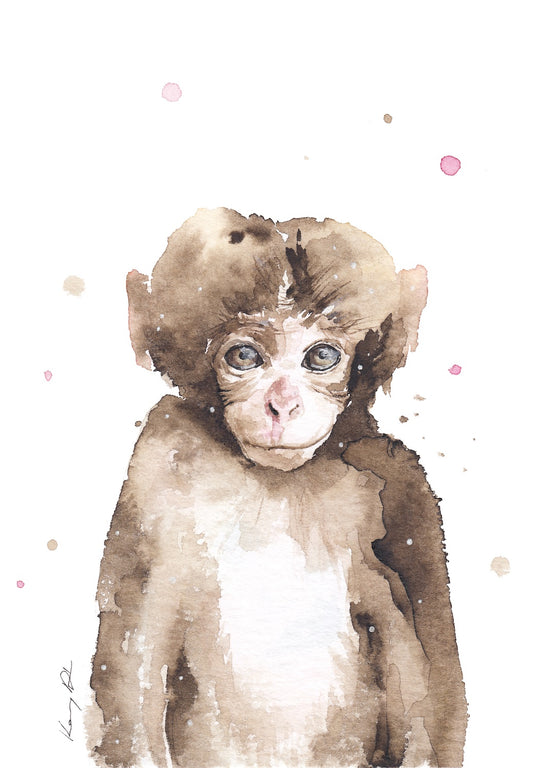 Majom Portré // Monkey Portrait