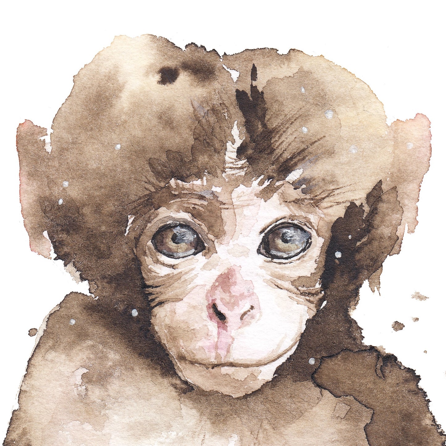 Majom Portré // Monkey Portrait
