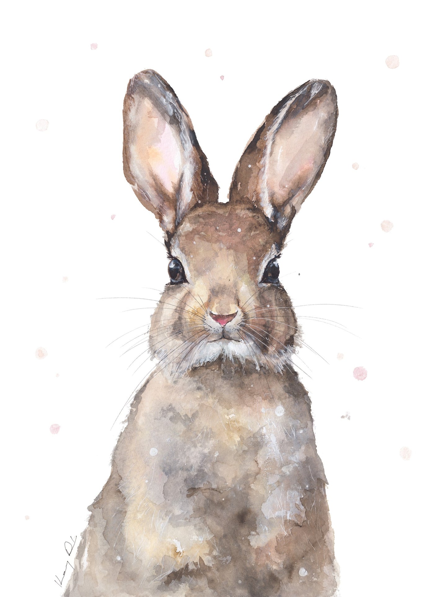 Nyuszi Portré // Bunny Portrait