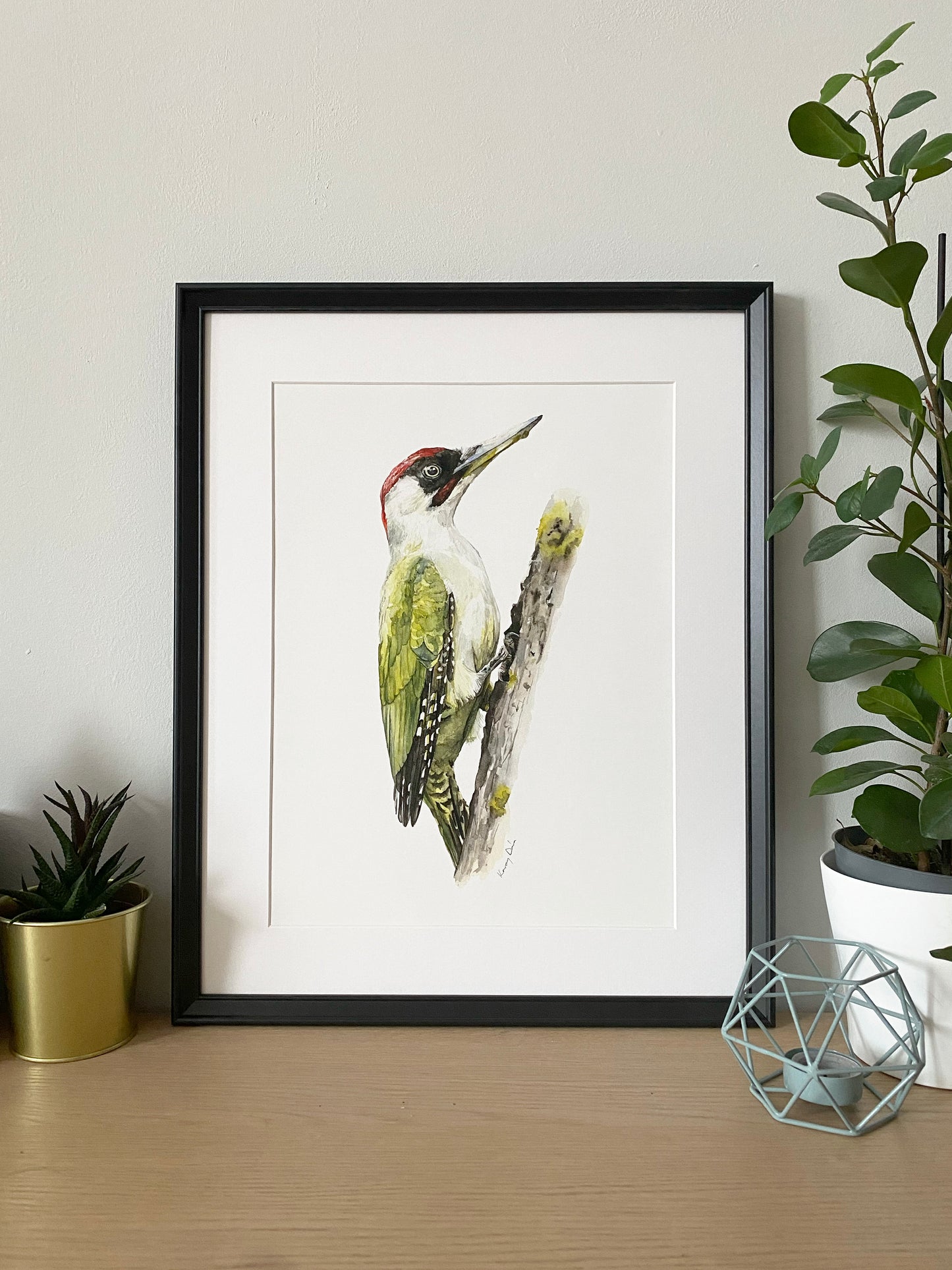 Zöld Küllő // Green Woodpecker