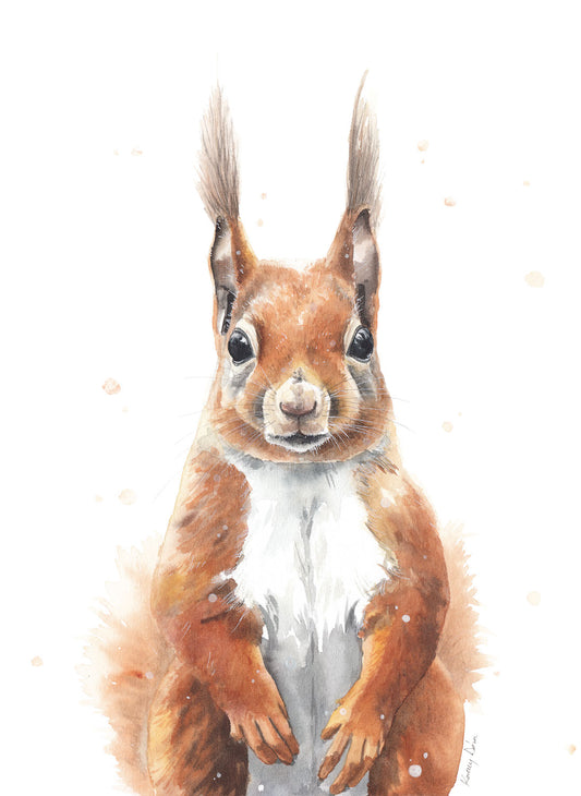 Mókus Portré // Squirrel Portrait