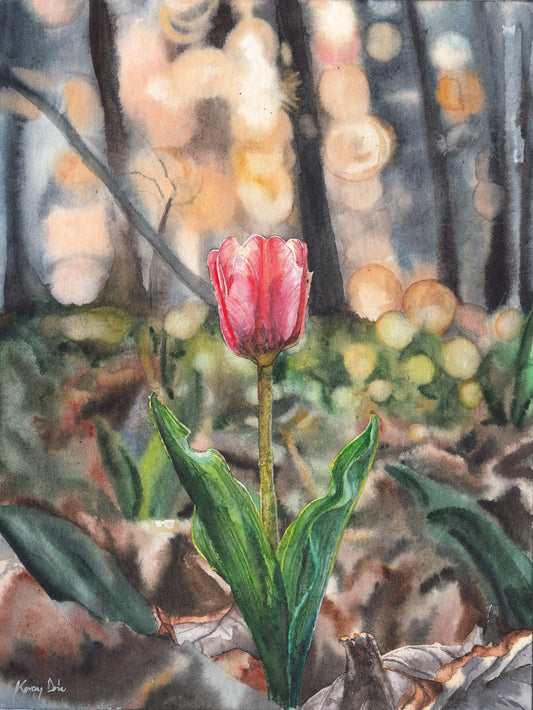 Tulipán