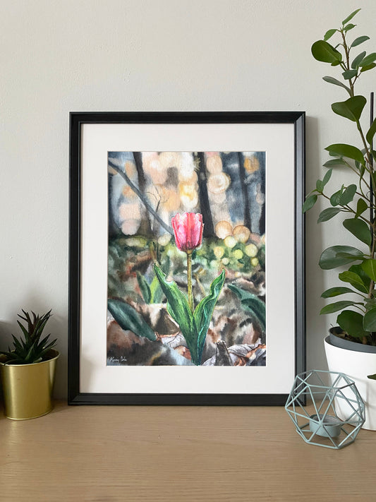 Tulipán