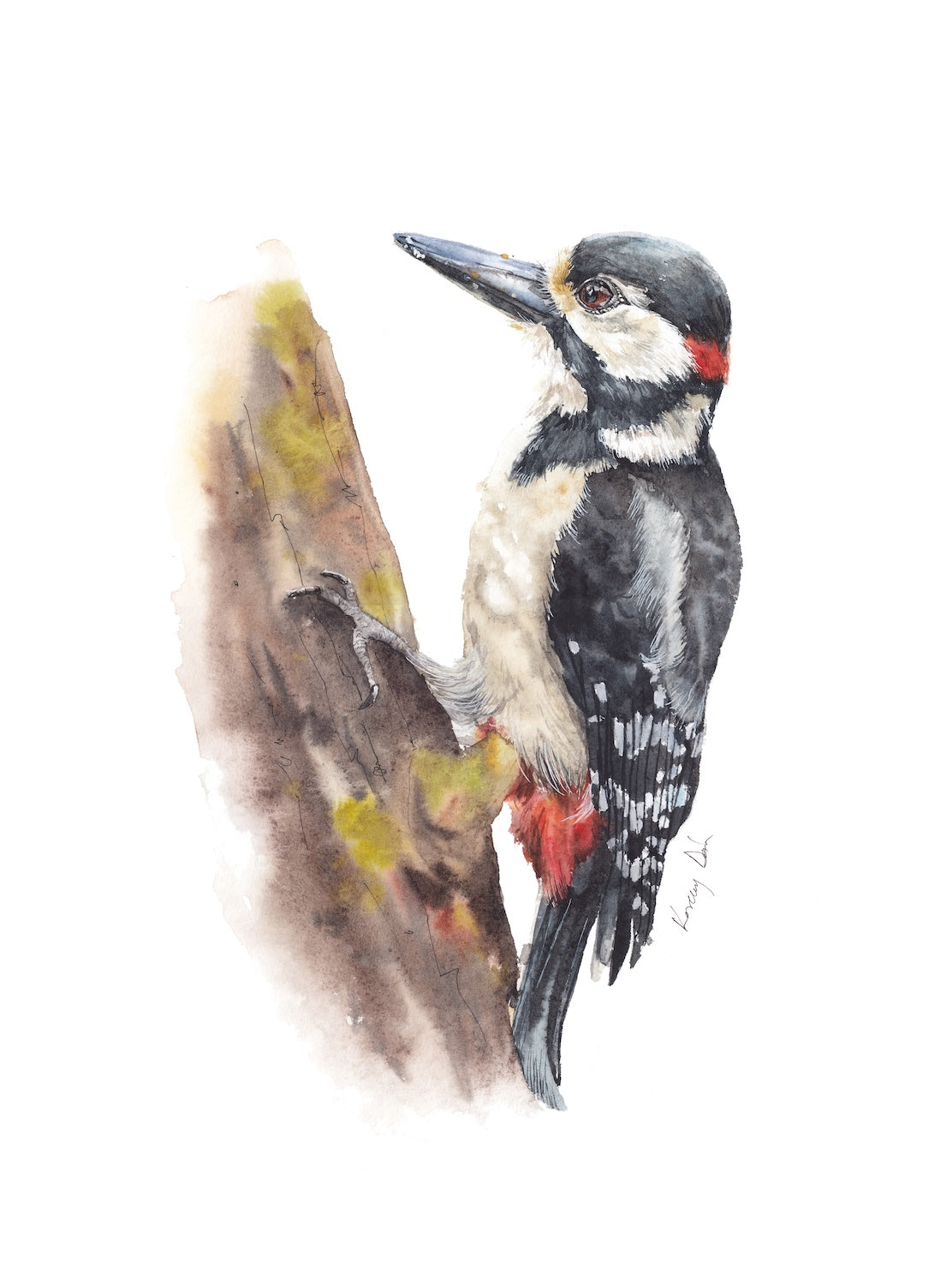 Great Woodpecker