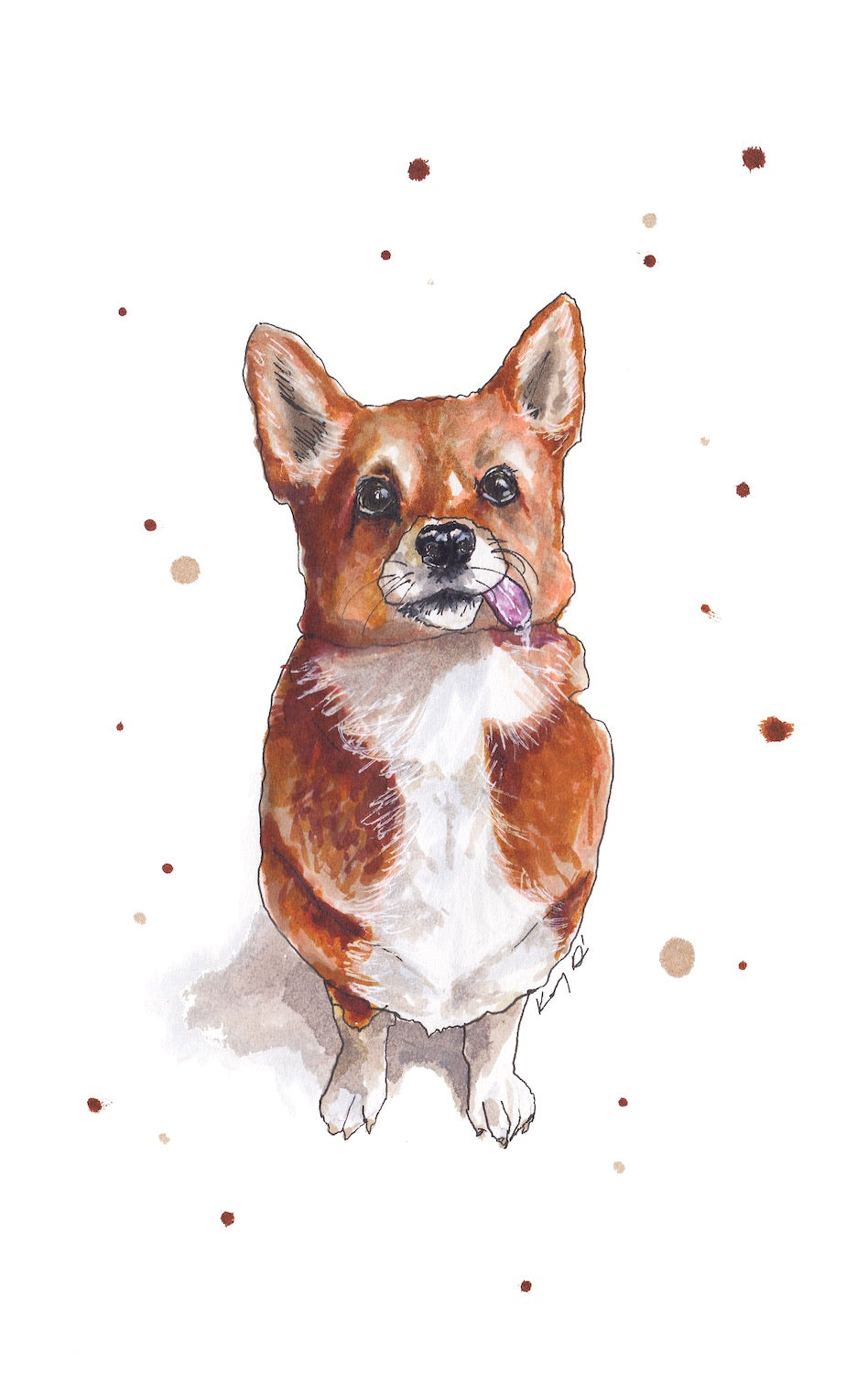 Corgi