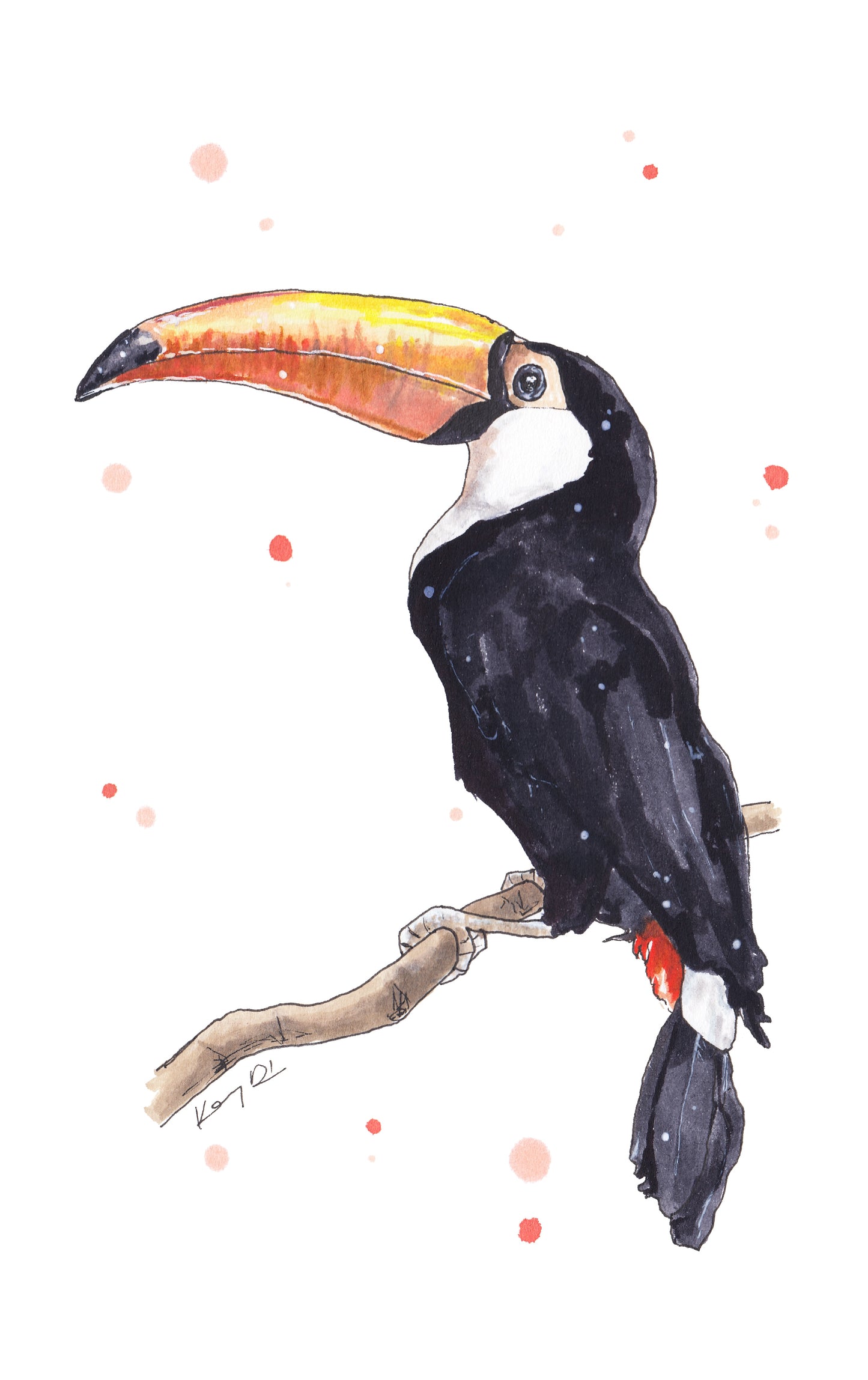 Tucan