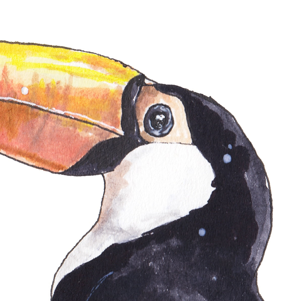 Tucan