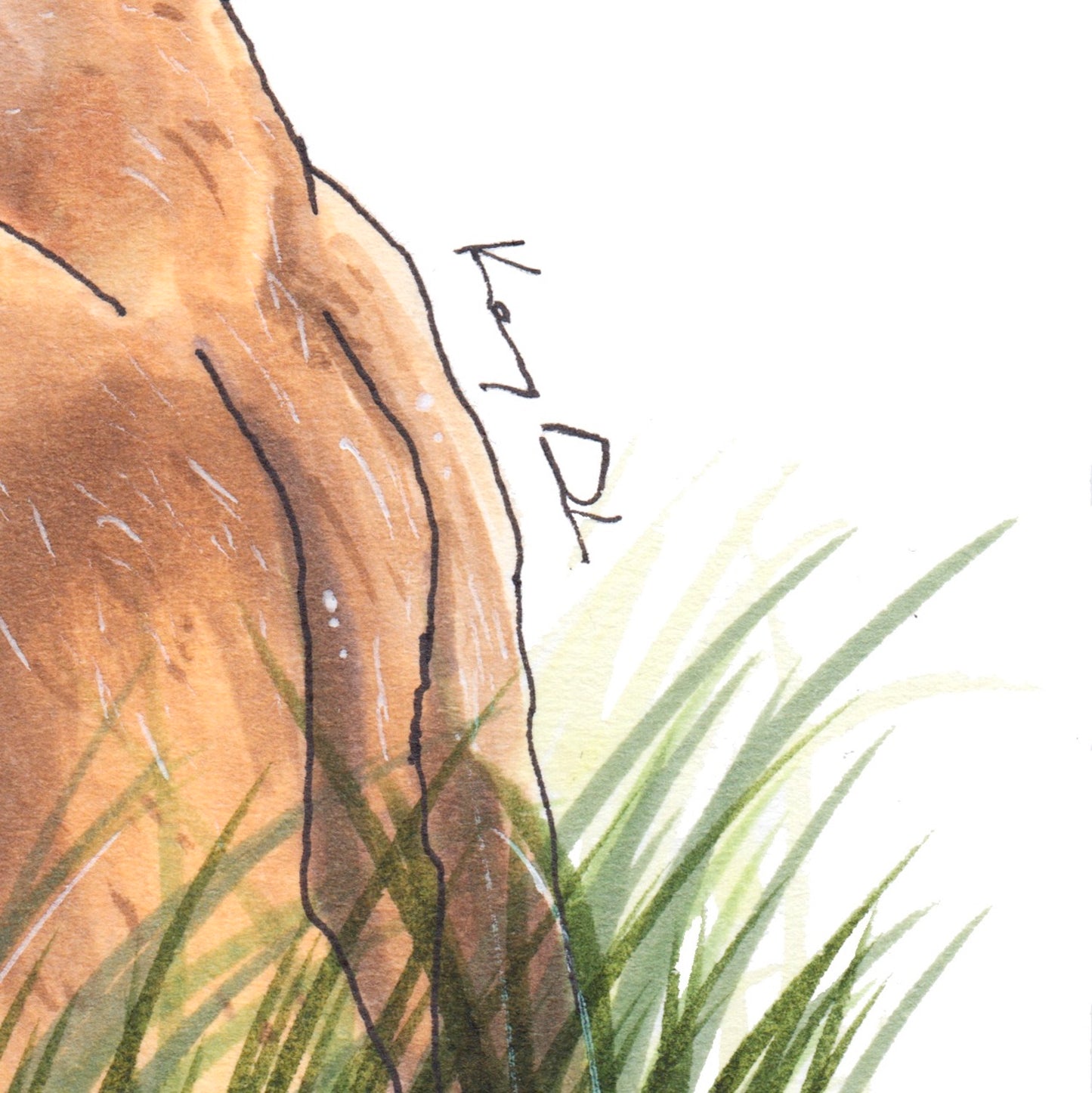 Bear Hug