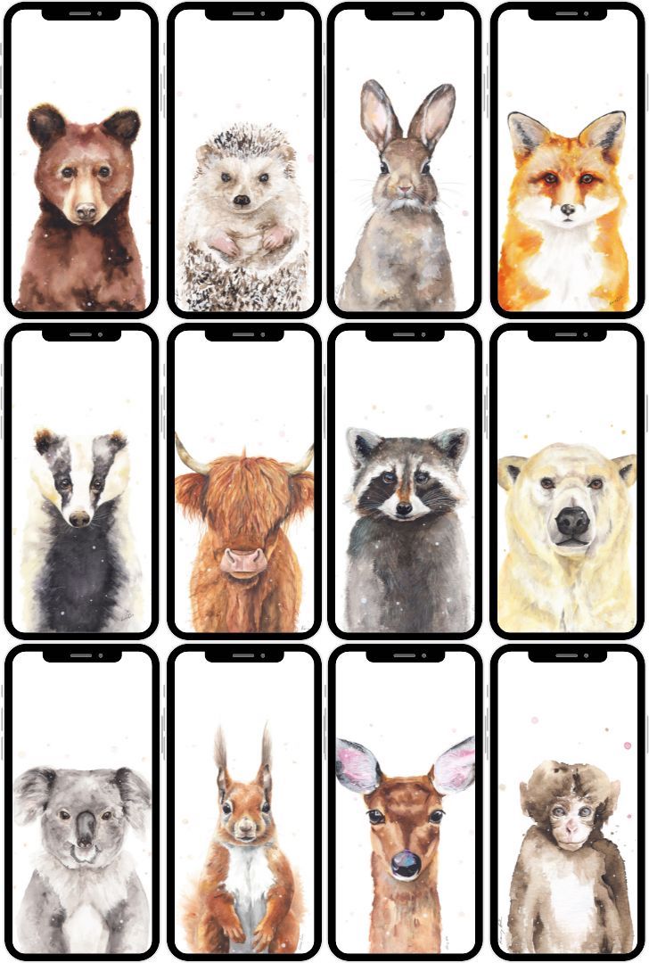 Állatportrék - Telefon háttérképek // Animal Portraits - Phone Wallpapers