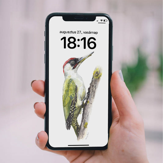 Madarak - Telefon háttérképek // Birds - Phone Wallpapers