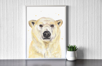 Jegesmedve Portré // Polar Bear Portrait