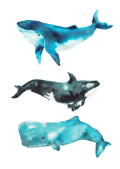 Bálna Trio // Whale Trio