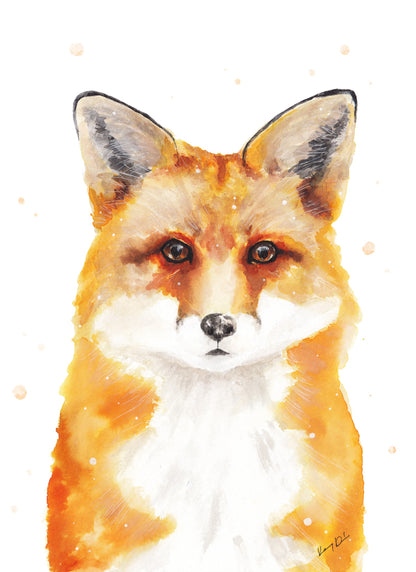 Róka Portré // Fox Portrait