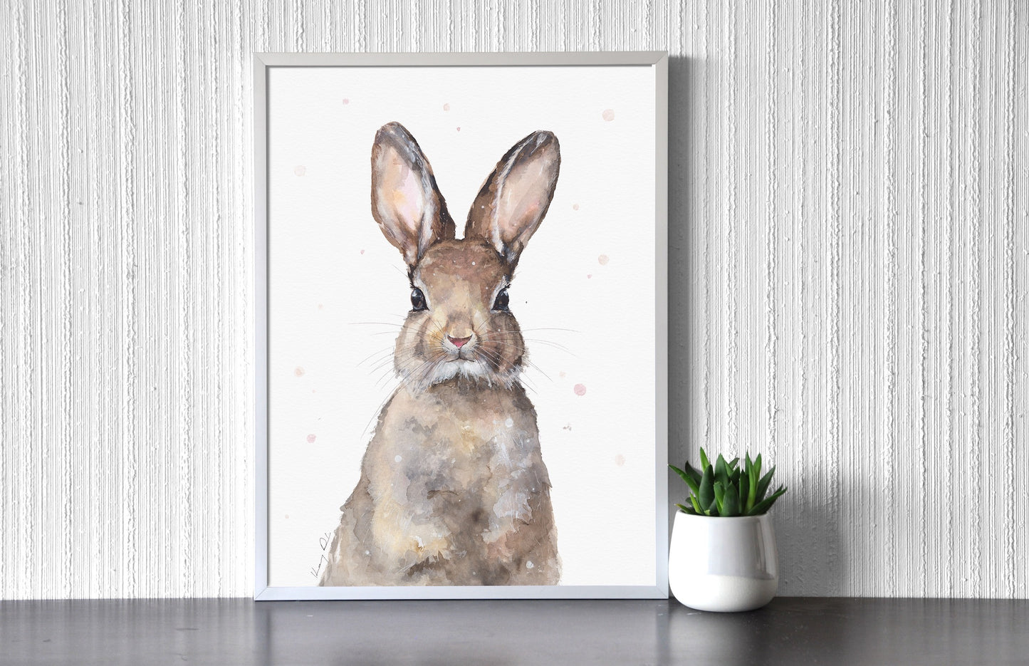 Nyuszi Portré // Bunny Portrait