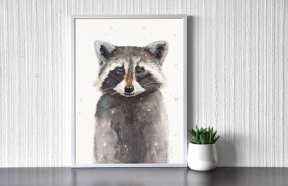 Mosómedve Portré // Racoon Portrait