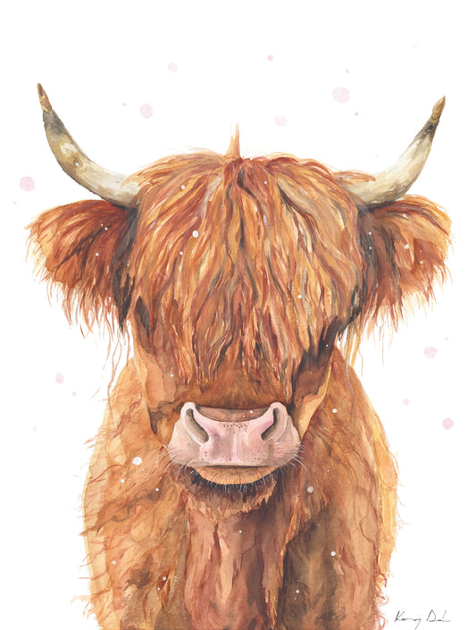 Kócos Boci // Highland Cow