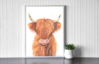 Kócos Boci // Highland Cow