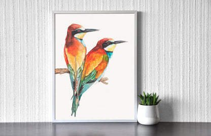 Gyurgyalagok // Bee-eaters