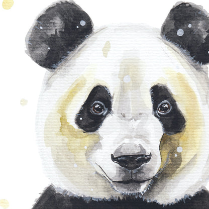 Panda Portré // Panda Portrait