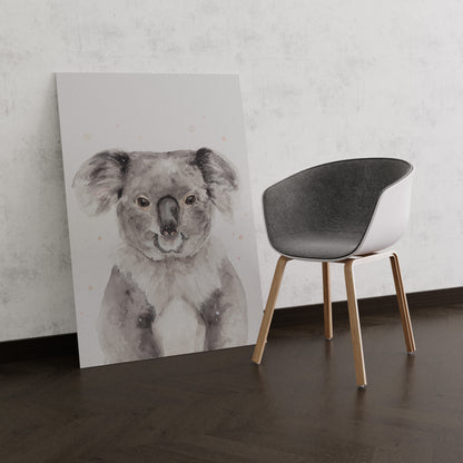 Koala Portré