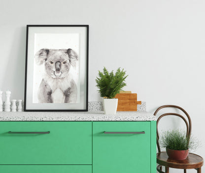 Koala Portré