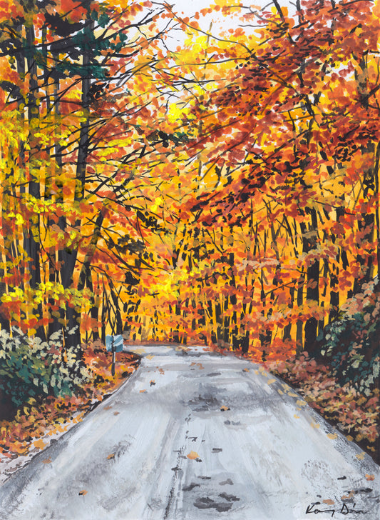 Őszi Országút // Autumn Road