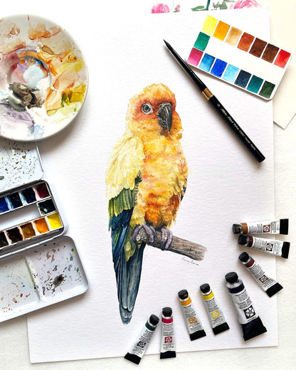 Nappapagáj // Sun Conure