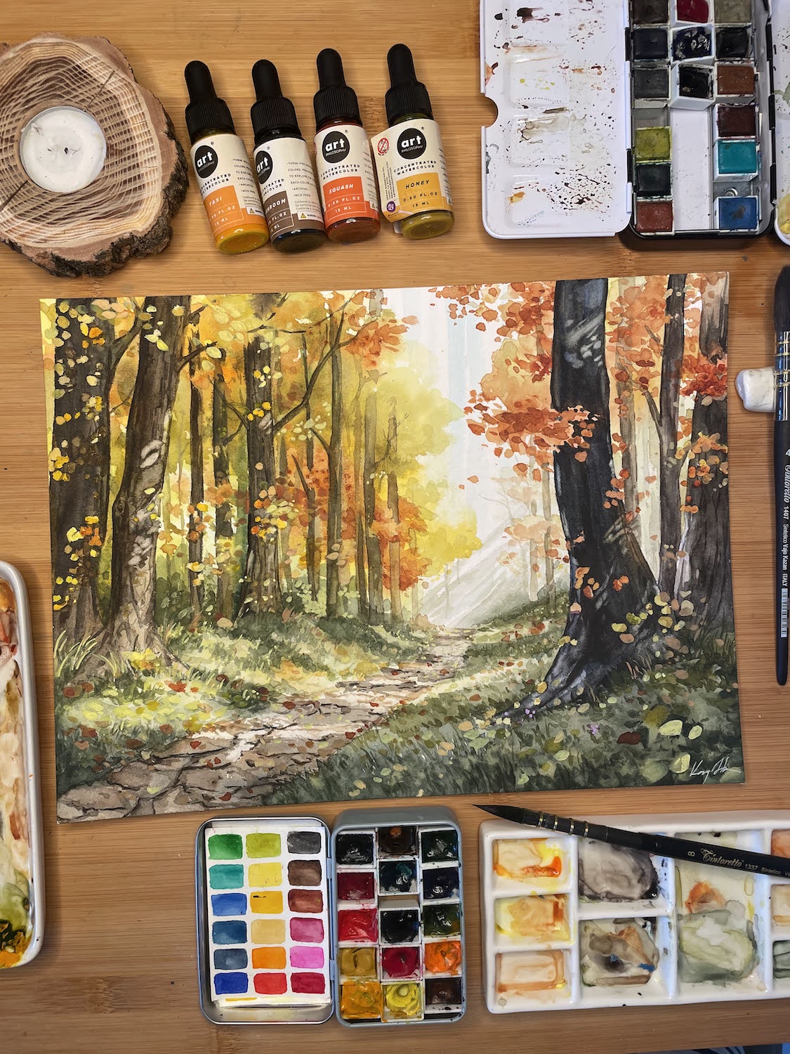 Őszi Erdő // Autumn Forest
