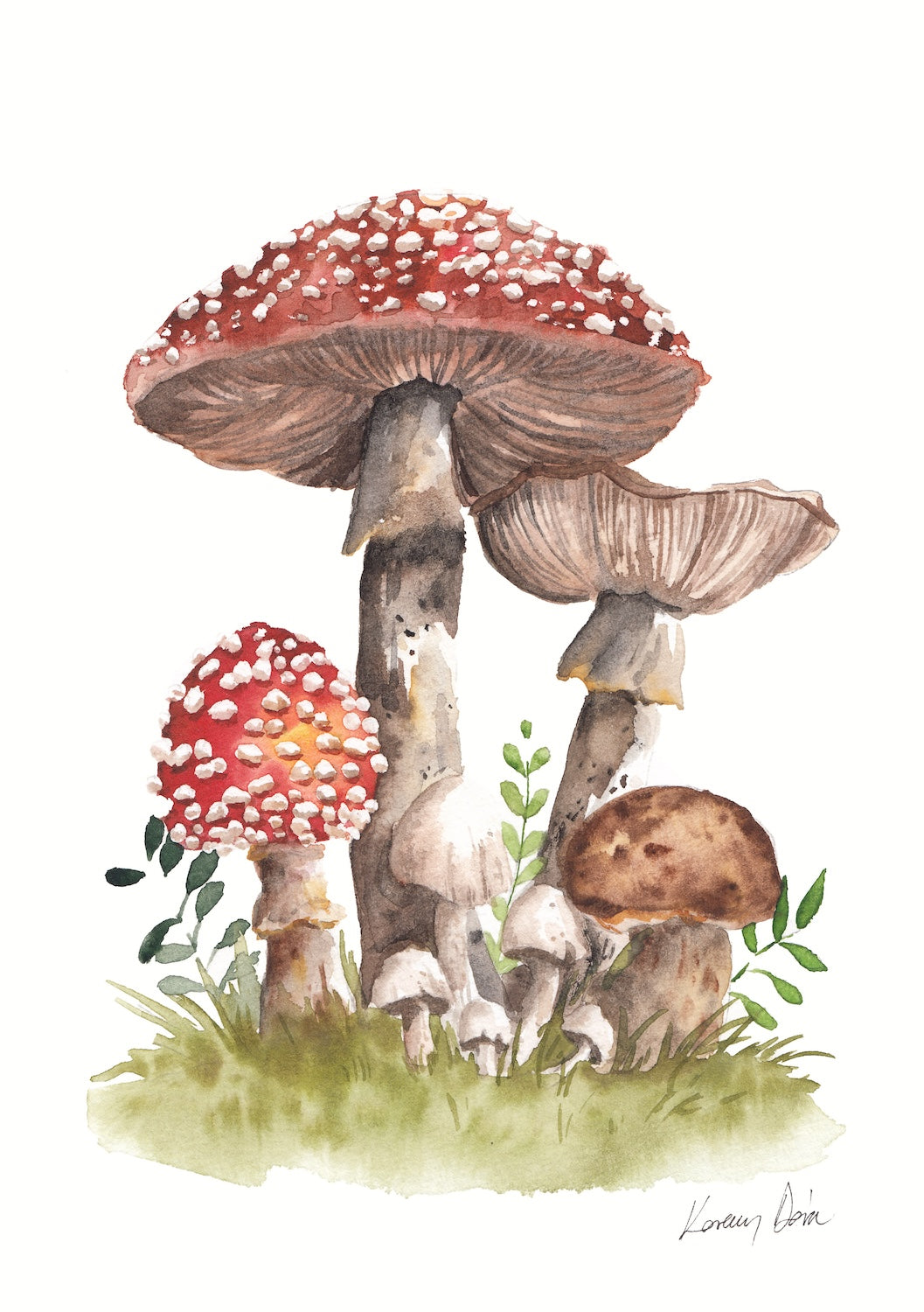 Mushrooms