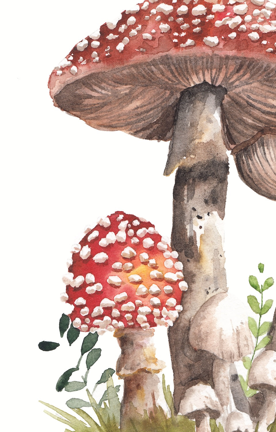 Mushrooms