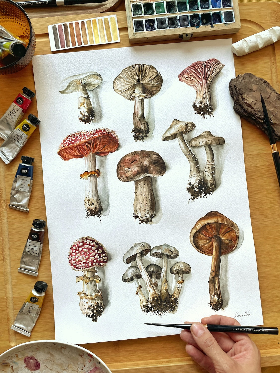 Mushroom Selection (Limited Print)