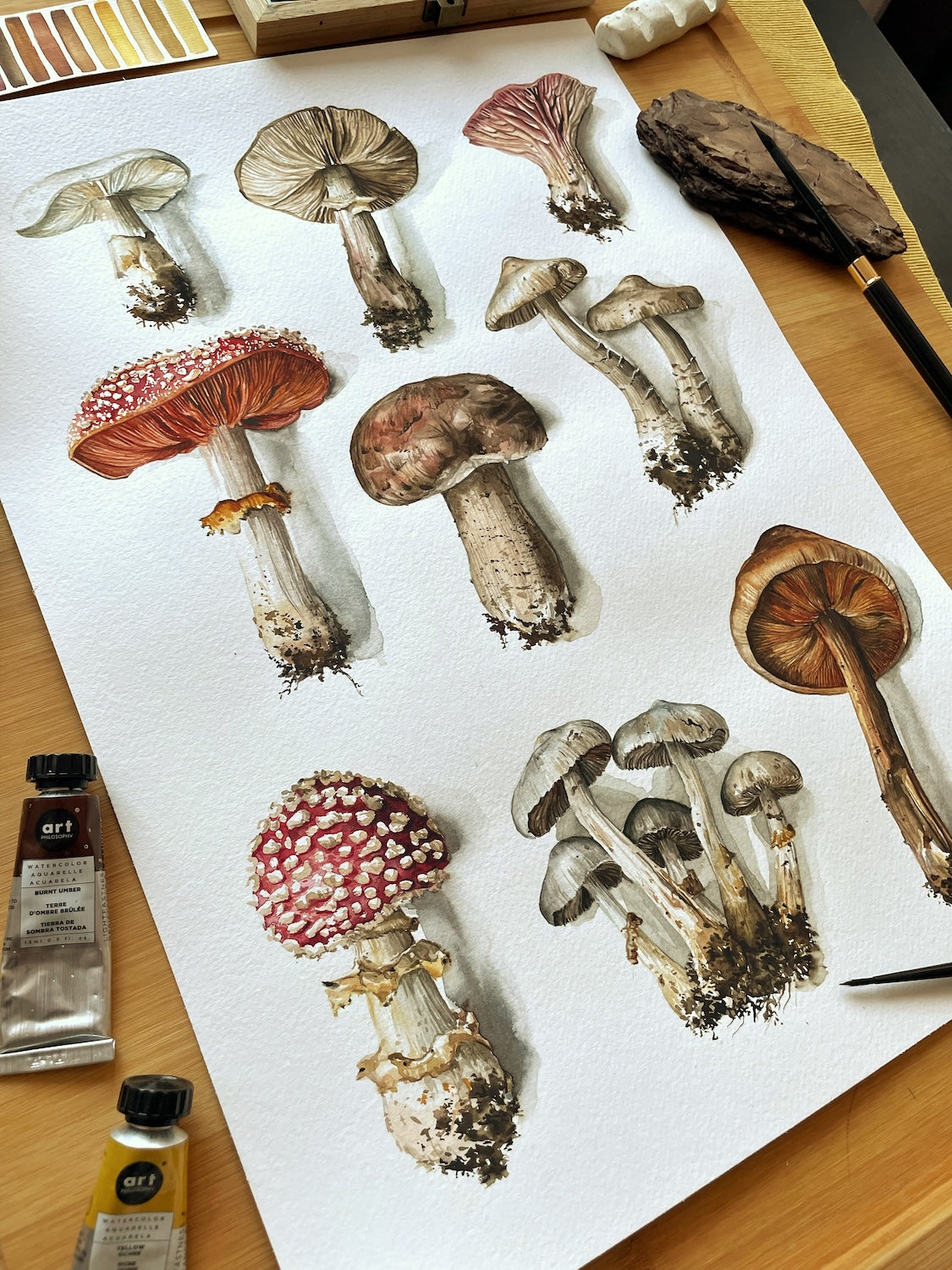 Mushroom Selection (Limited Print)