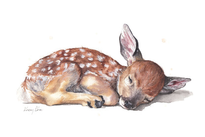 Sleeping Fawn