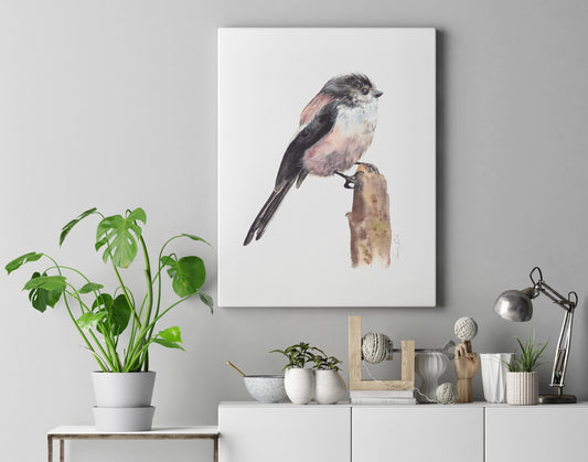 Long-tailed Tit