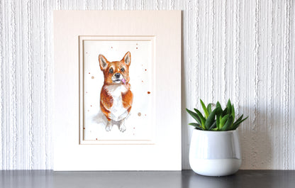 Corgi // Corgi