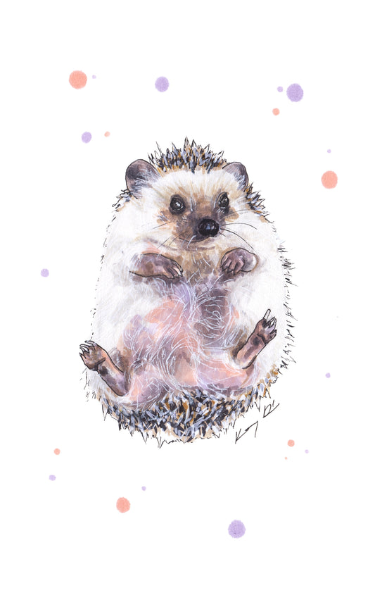 Süni Bébi // Baby Hedgehog
