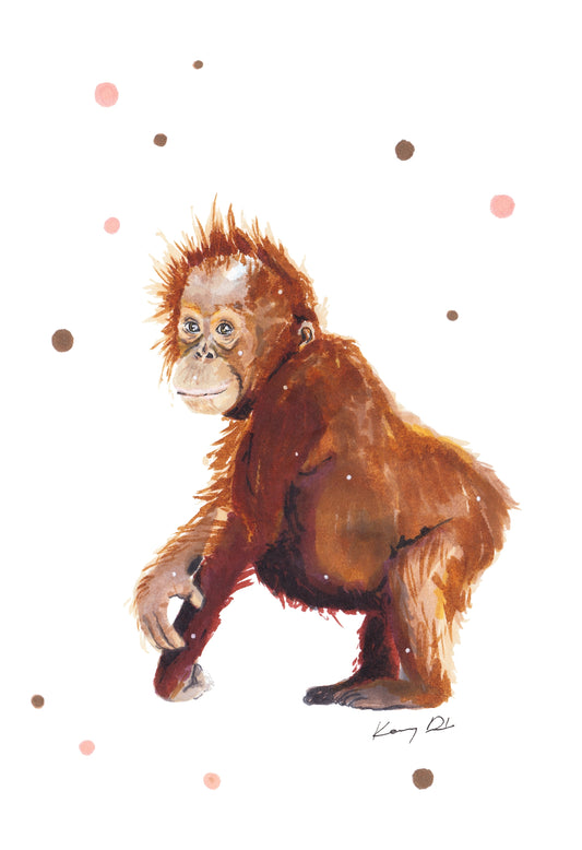 Orángután // Orangutan