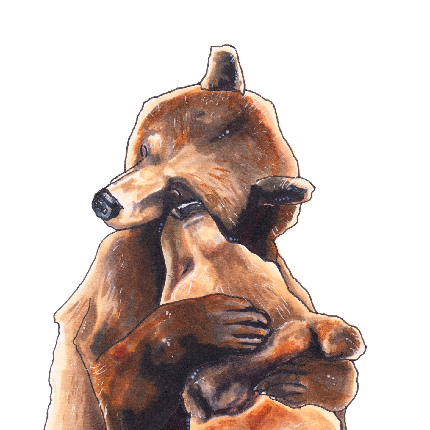 Ölelés // Bear hug