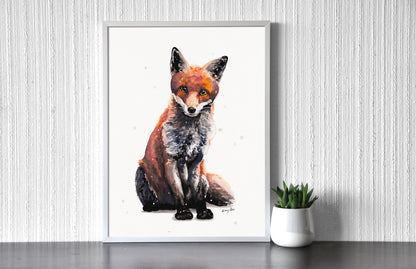 Róka Bébi // Baby Fox