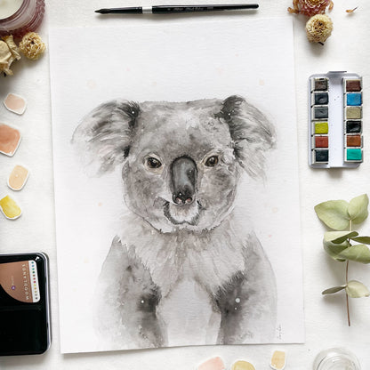 Koala Portré // Koala Portrait