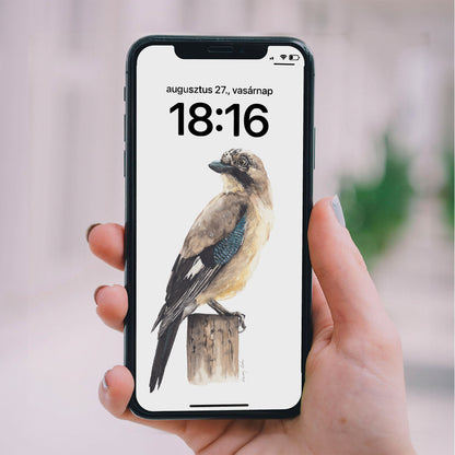 Madarak - Telefon háttérképek // Birds - Phone Wallpapers