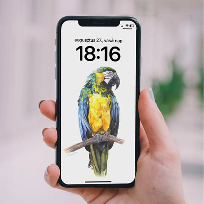 Madarak - Telefon háttérképek // Birds - Phone Wallpapers