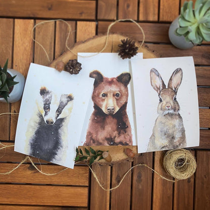 Animal Portrait Bundle